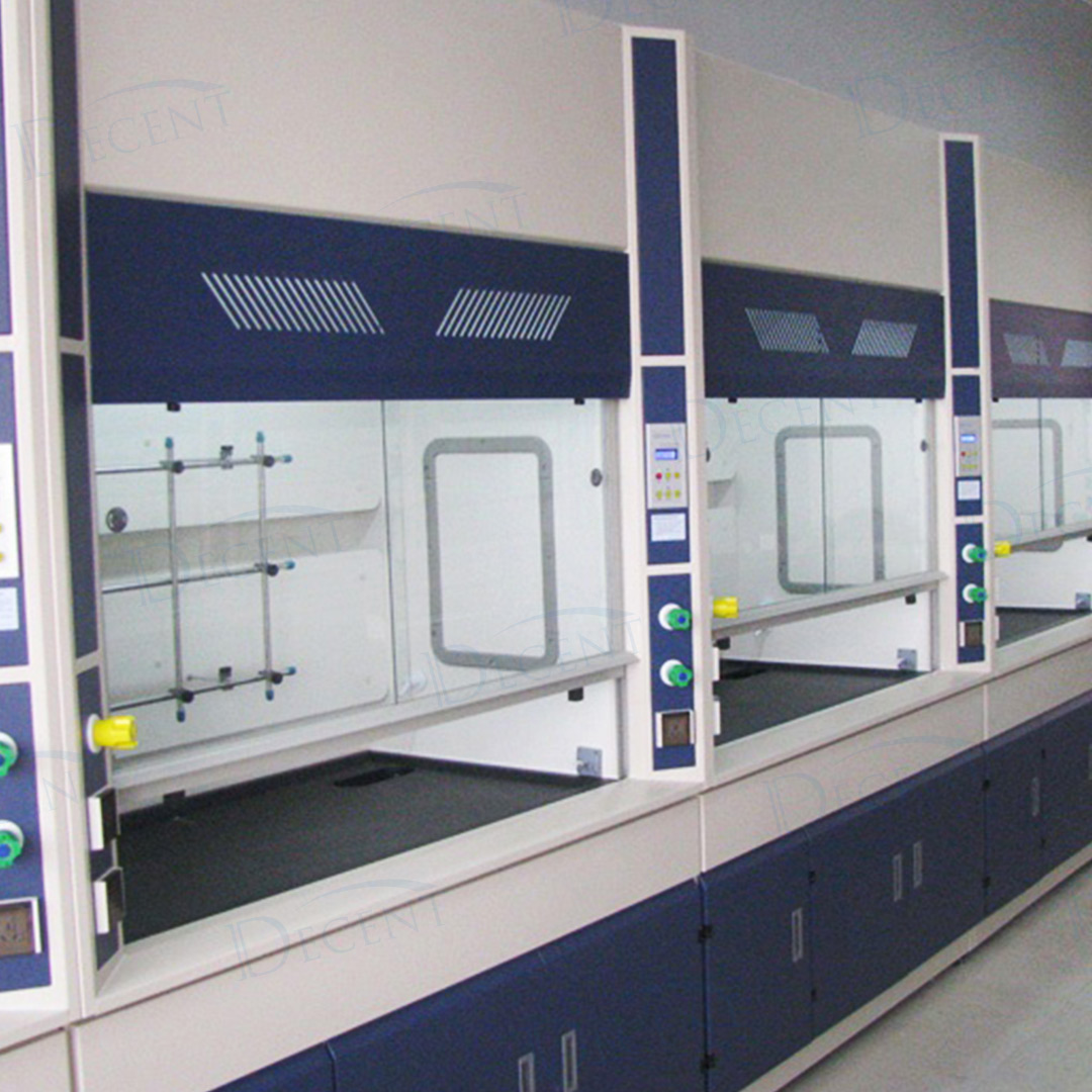 DECENT Laboratory All Steel Fume Hood Details View