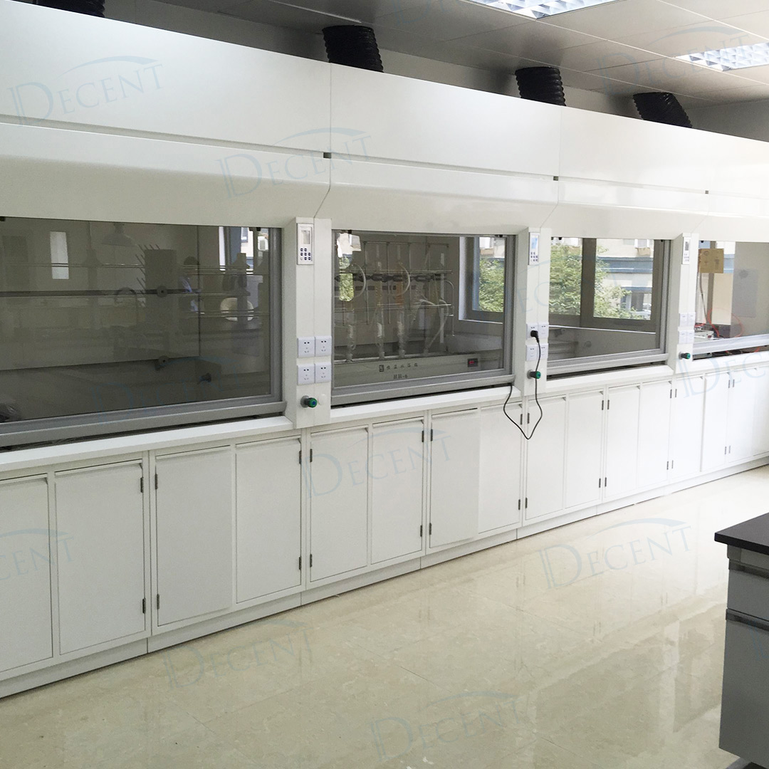 DECENT Laboratory All Steel Fume Hood Integrale View